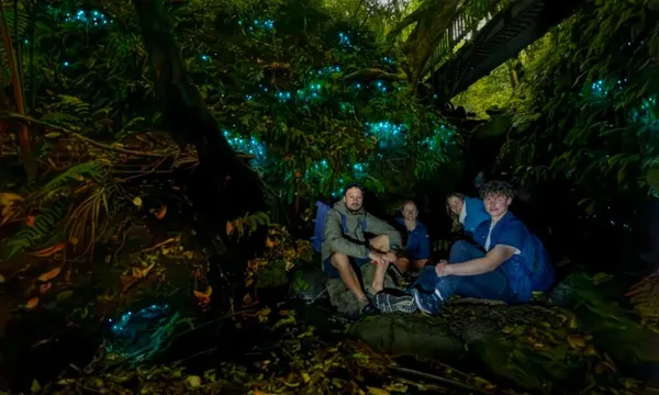 Auckland Glowworm Tour