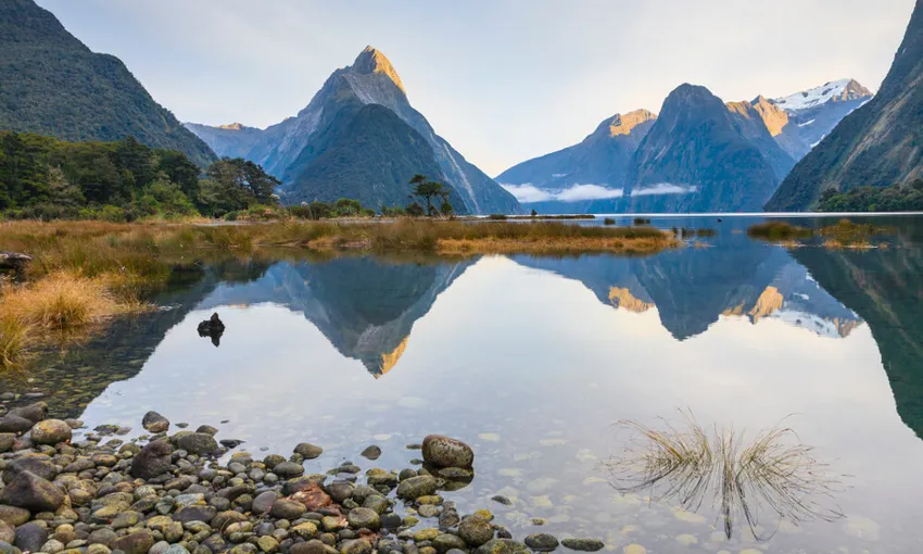 Milford Sound Coach & Cruise - BBQ Bus | Everything New Zealand