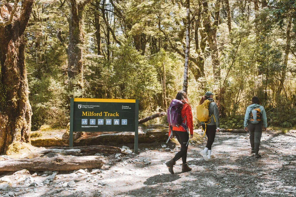 Milford Track Day Walk from Te Anau | Everything New Zealand-2