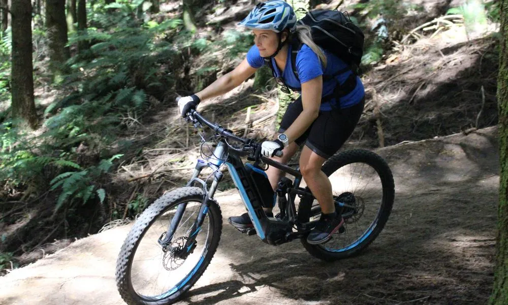 Electric Bike Hire Rotorua | Everything New Zealand-2