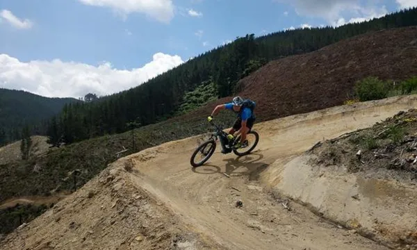 Half Day Mountain E-Bike Hire at the Redwoods Forest