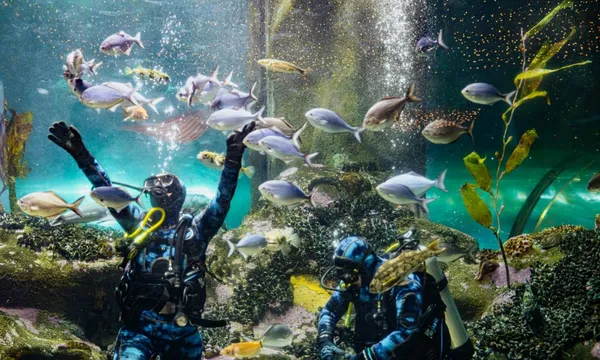 National Aquarium Admission 