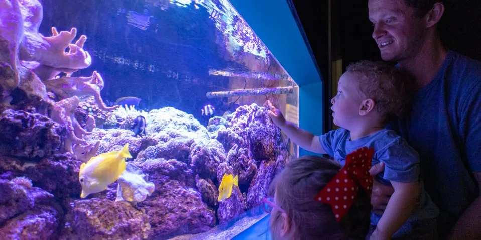 National Aquarium of New Zealand in Napier | Everything New Zealand -3