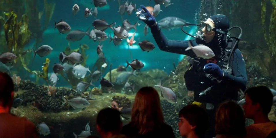 National Aquarium of New Zealand in Napier | Everything New Zealand -1