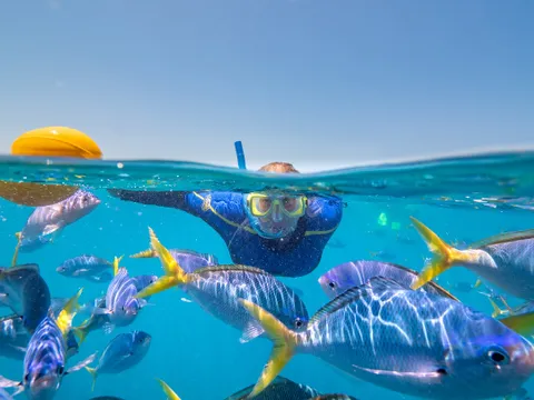 Reefbed Premium Stay, 1 Night - Great Barrier Reef