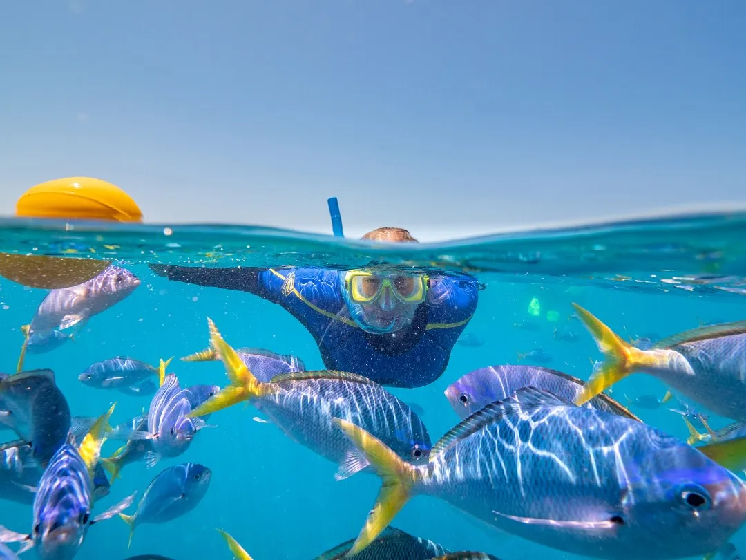 Great Barrier Reef Reefbed Premium Stay - 1 Night | Experience Oz-2