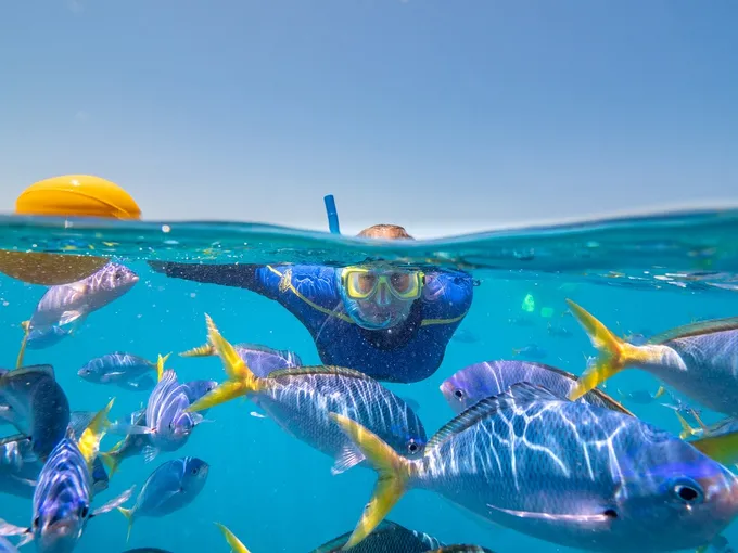 Great Barrier Reef Reefbed Premium Stay - 1 Night | Experience Oz
