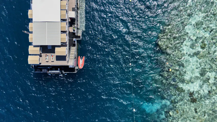 Great Barrier Reef Reefbed Premium Stay - 1 Night | Experience Oz