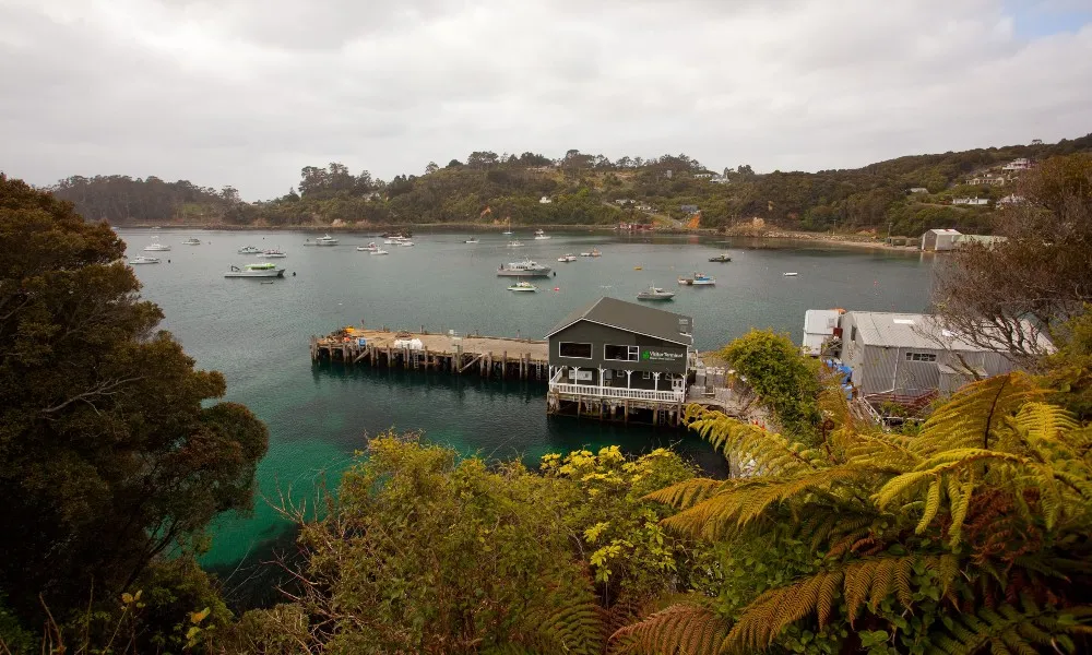 Stewart Island Ferry from Bluff | Everything New Zealand -5