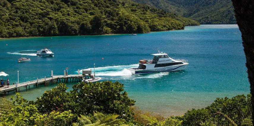 Cruise & Lunch Punga Cove Picton | Everything New Zealand