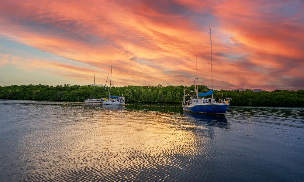 Sunset Tour on Cairns River with Wine  | Experience OZ-3