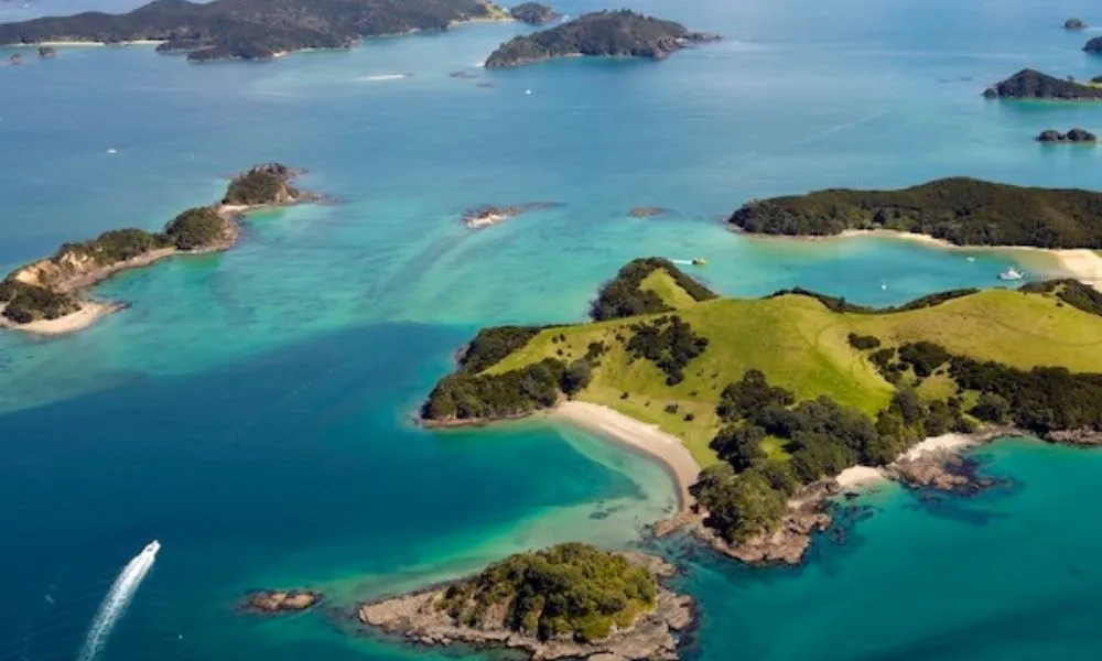 Sea Shuttle Getaway Tour Bay of Islands | Everything New Zealand-4