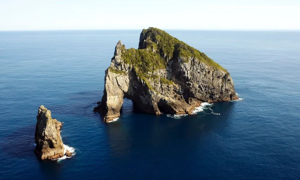 Sea Shuttle Getaway Tour Bay of Islands | Everything New Zealand-5