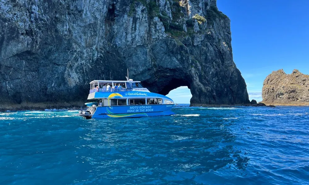 Sea Shuttle Getaway Tour Bay of Islands | Everything New Zealand-1