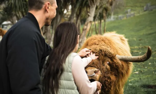 Spirit of Queenstown Lake Cruise & Farm Tour
