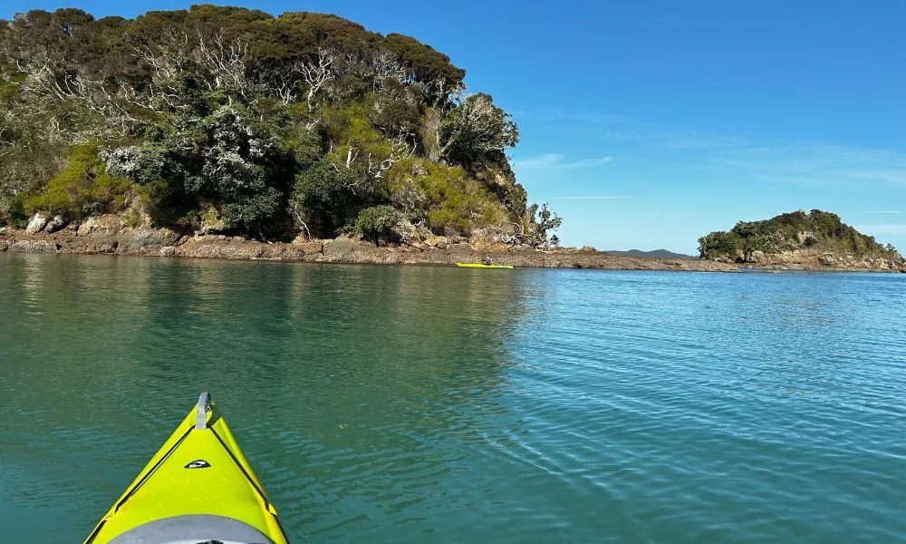 Bay of Islands Kayak Tour, Island Discovery | Kayaking Bay of Islands-2