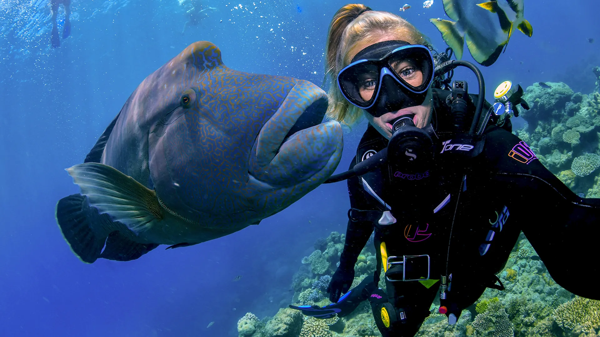 Great Barrier Reef Gold Class Cruise & Snorkel | Experience Oz-2