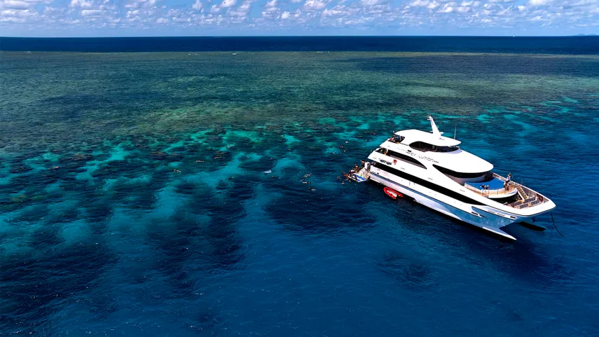 Gold Class Cruise & Snorkel, Half Day - Great Barrier Reef