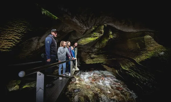 Day Cruise & Glowworm Caves with RealNZ