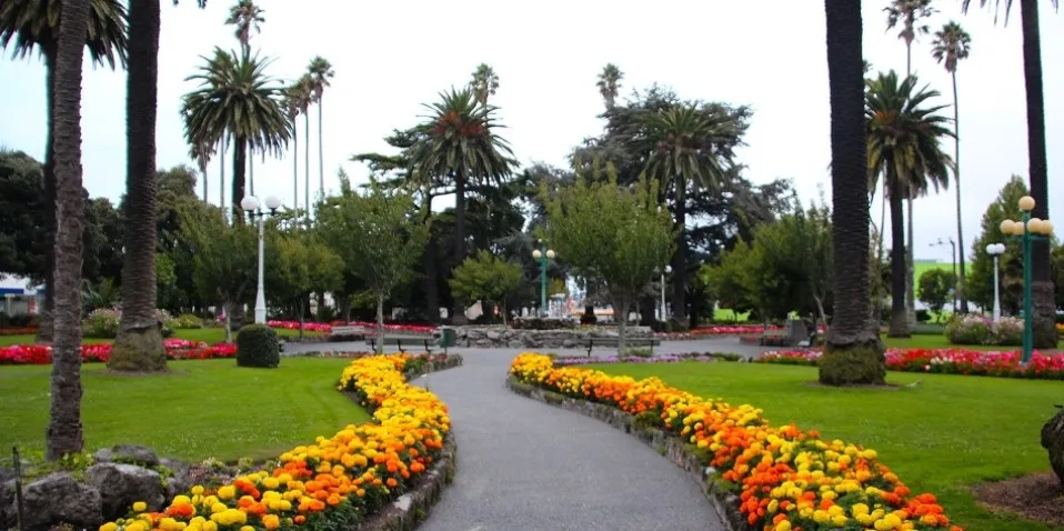 Napier Scenic Tours | Everything New Zealand-2