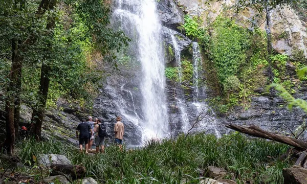 Daintree Gourmet Sensations Tour with Picnic Lunch 