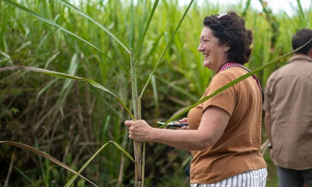 Daintree Gourmet Sensations Tour with Picnic Lunch  | Experience OZ-11