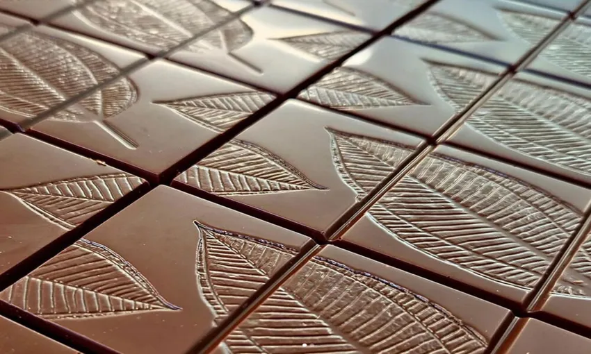 Daintree Food Tour with Lunch and Picnic, Full Day