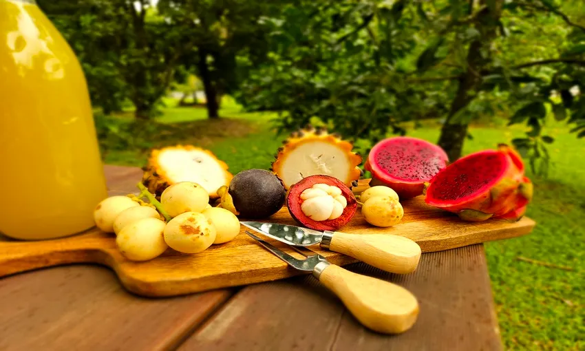 Daintree Food Tour with Lunch and Picnic, Full Day