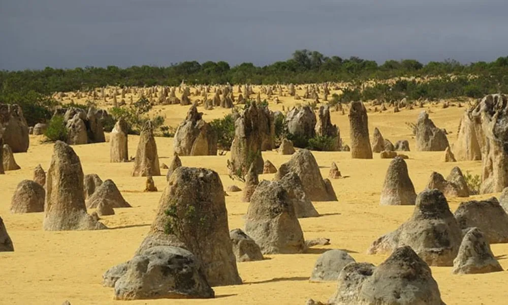 Pinnacles Desert Flight and Tour – Half Day | Experience OZ-3