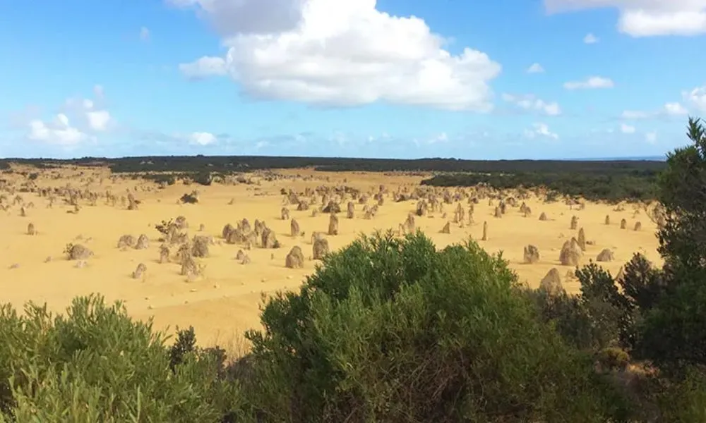 Pinnacles Desert Flight and Tour – Half Day | Experience OZ-5