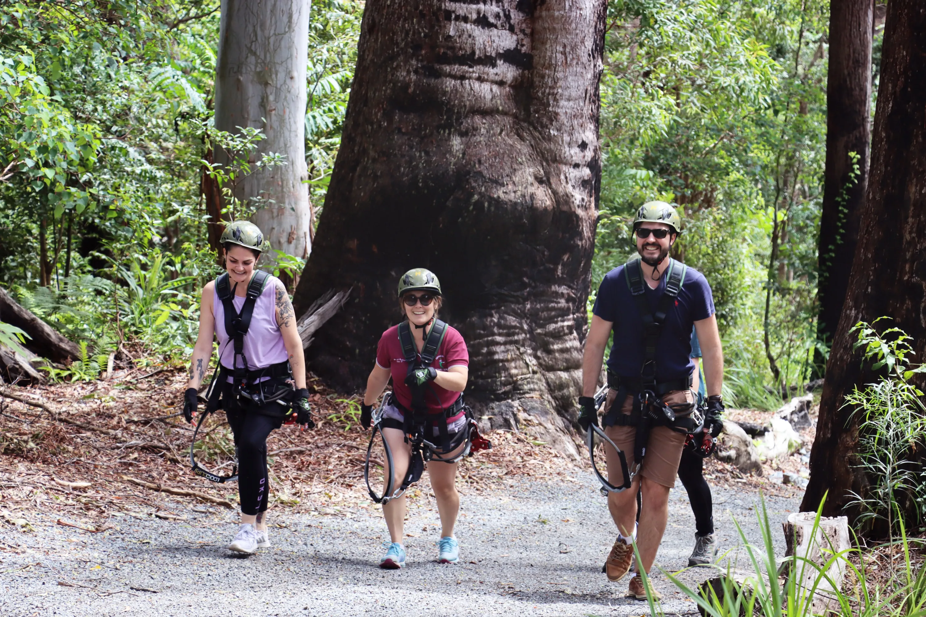 Gold Coast Hinterland Cliff Zipline Pass & Photos | Experience Oz-5