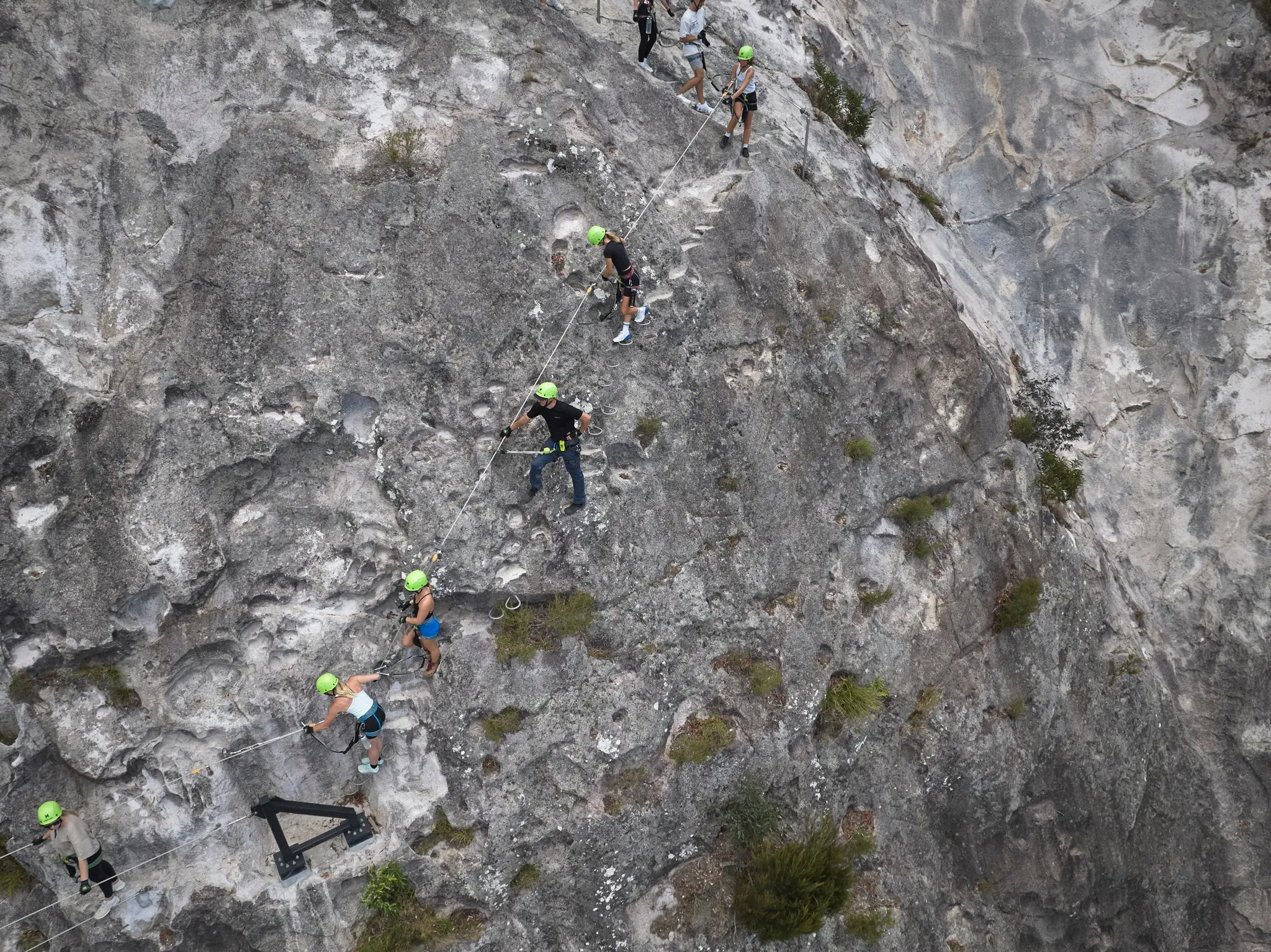 Gold Coast Hinterland Zipline Tour with Bridge | Experience Oz-4