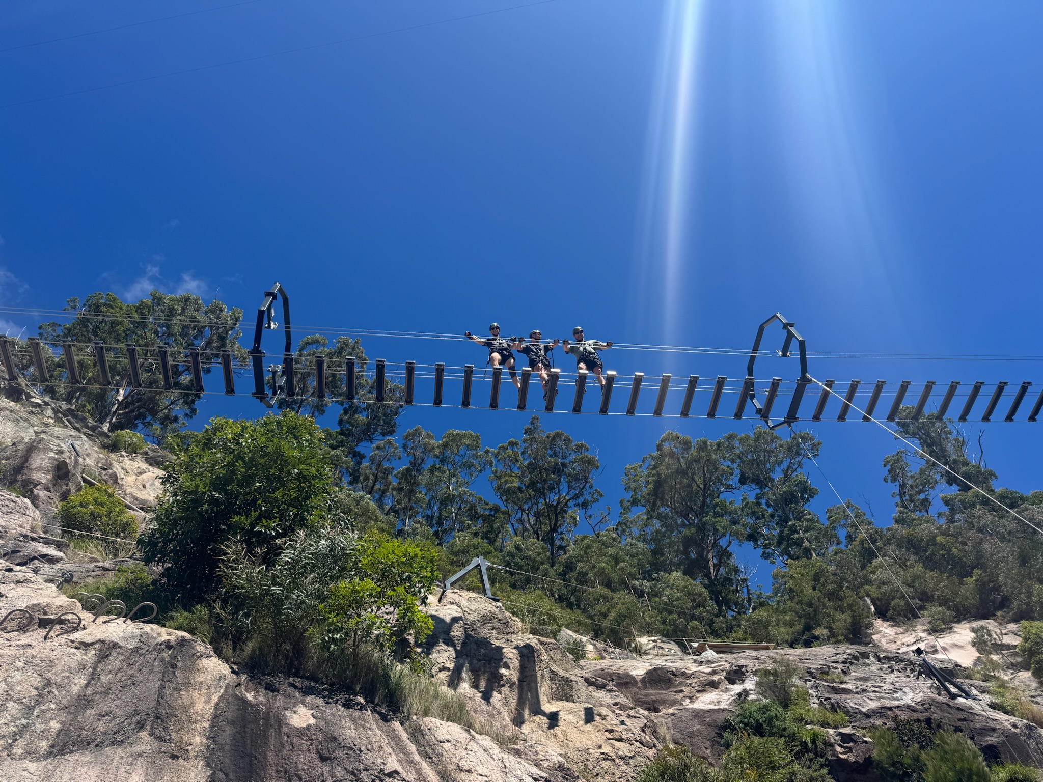 Zipline Tour with Wobble Bridge - Gold Coast Hinterland