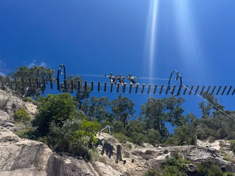 Zipline Tour with Wobble Bridge - Gold Coast Hinterland