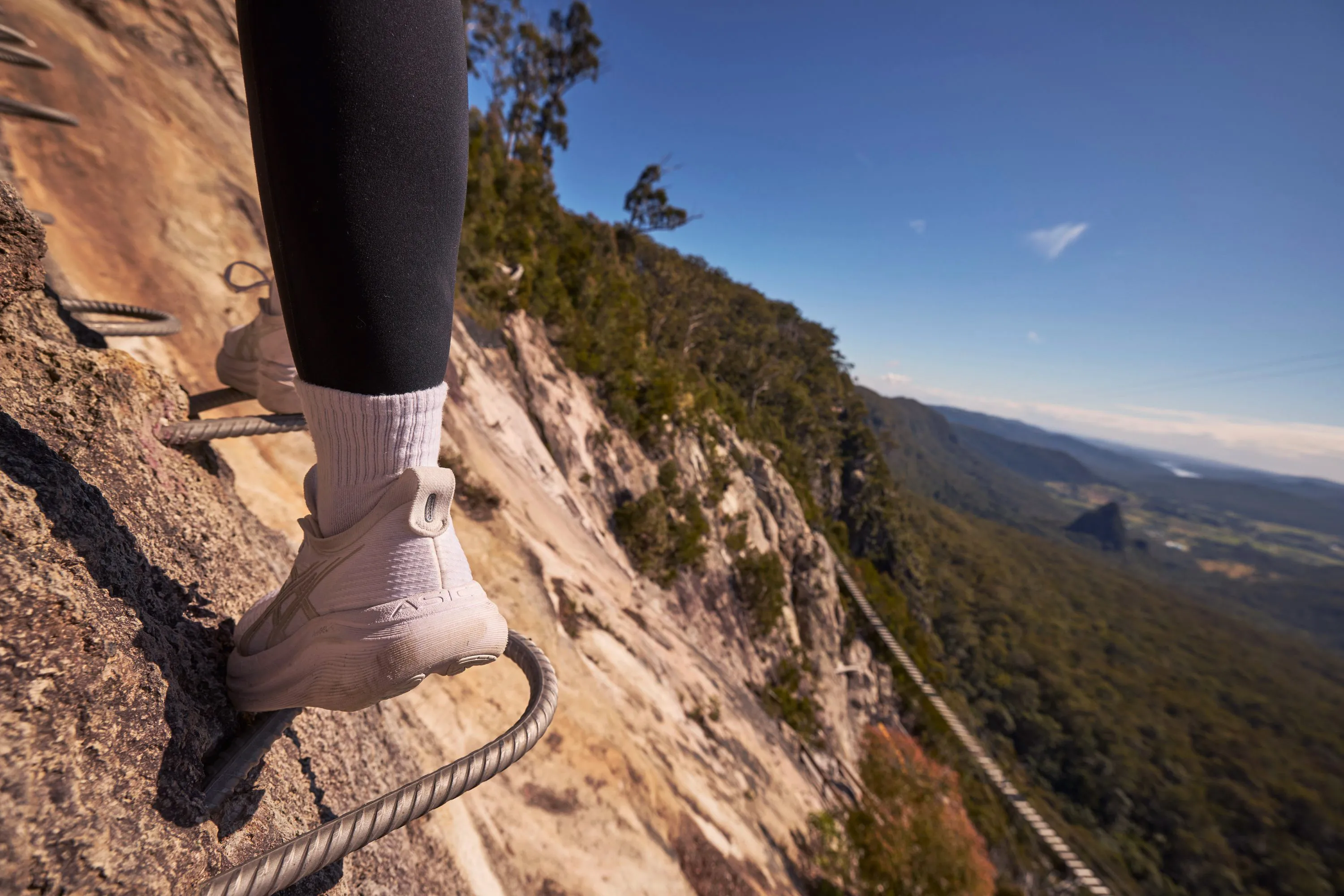 Gold Coast Hinterland Via Ferrata Pass | Experience Oz-1