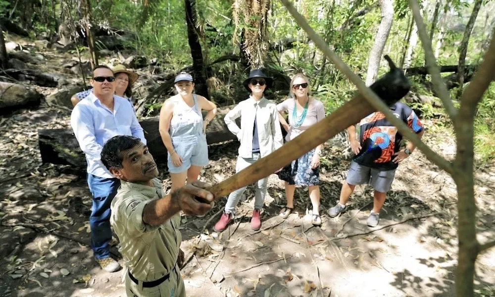 Cairns Indigenous Cultural Eco Tour - Book Now | Experience Oz-1