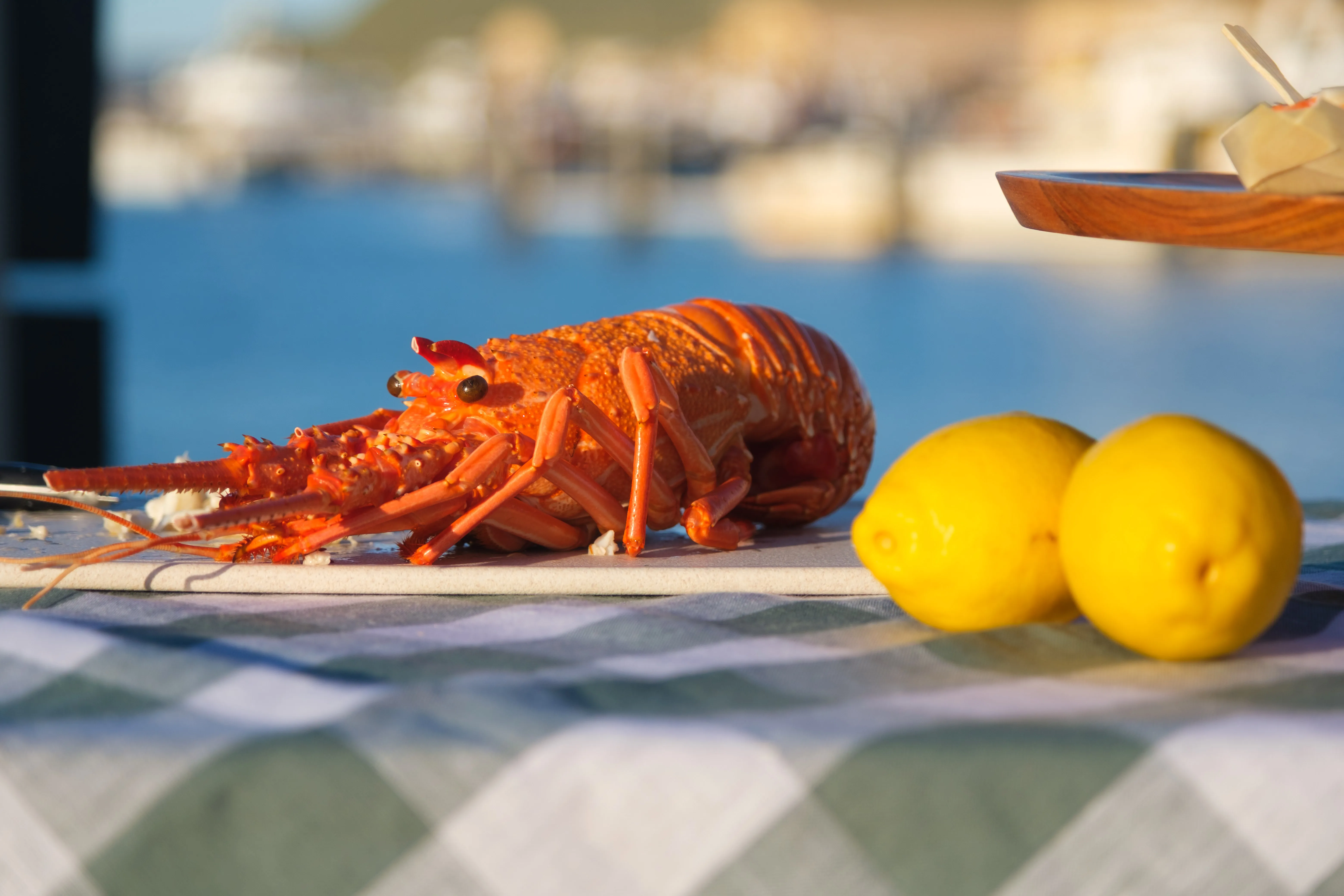 Geraldton Ocean Seafood Harvest Tour - 2 Hours | Experience Oz-5