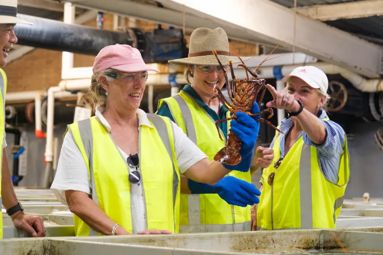 Geraldton Ocean Seafood Harvest Tour - 2 Hours | Experience Oz