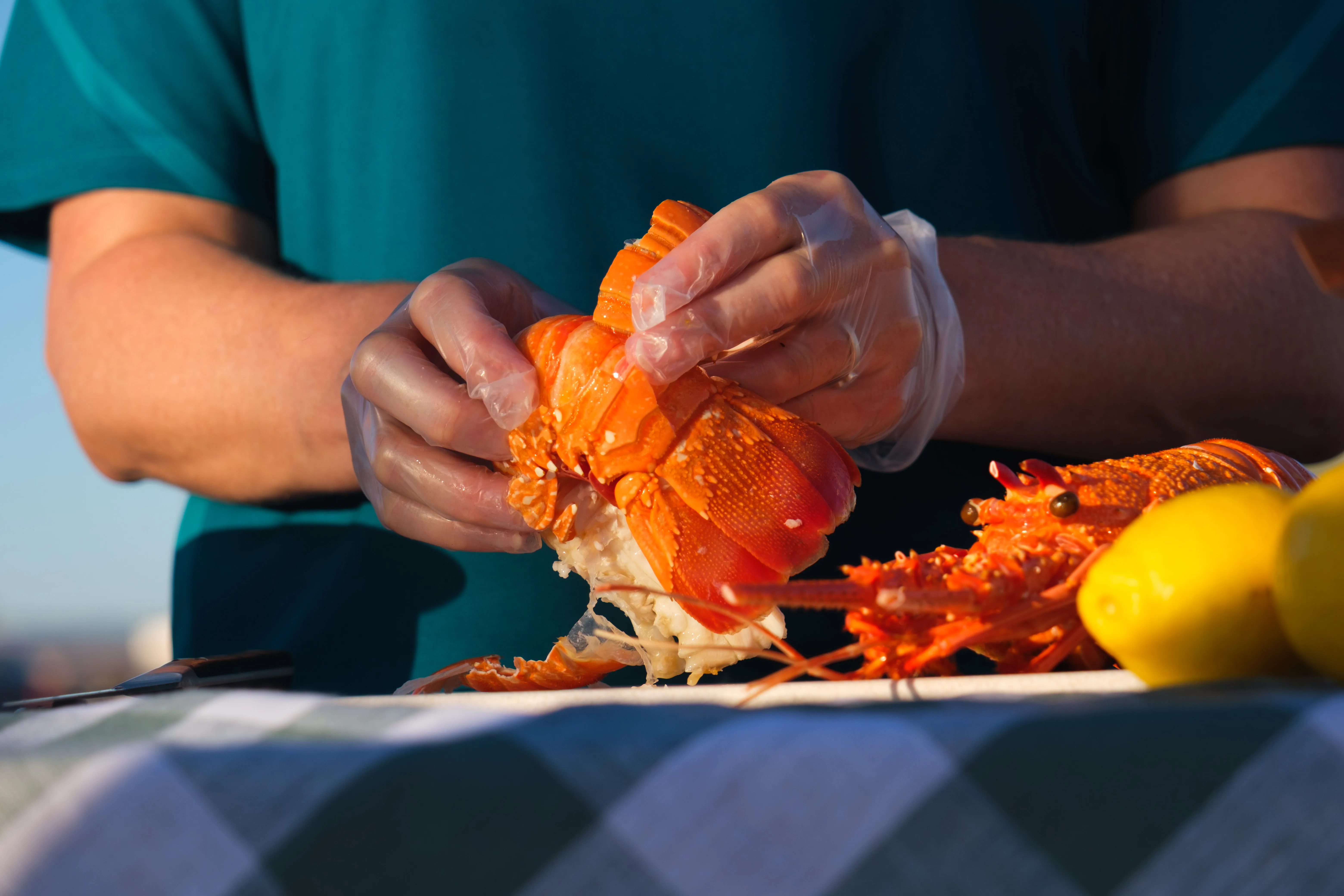 Geraldton Ocean Seafood Harvest Tour - 2 Hours | Experience Oz-2