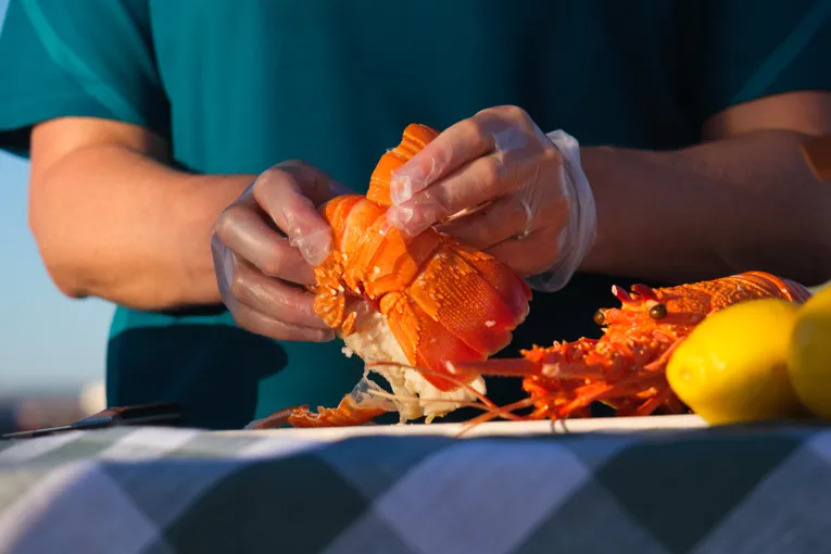 Geraldton Ocean Seafood Harvest Tour - 2 Hours | Experience Oz