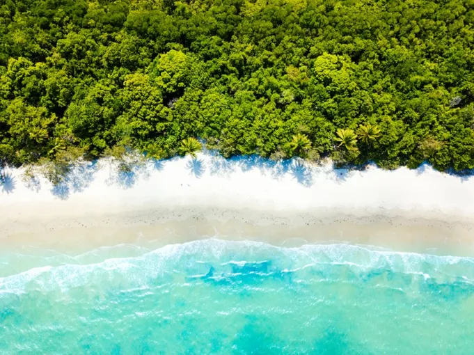 Tully River Rafting & Daintree Rainforest - 2 Days | Experience Oz