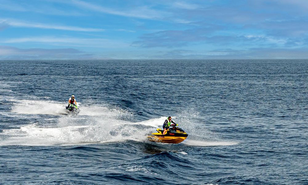 Jet Ski Guided Tour, 45 Minutes - Lake Illawarra