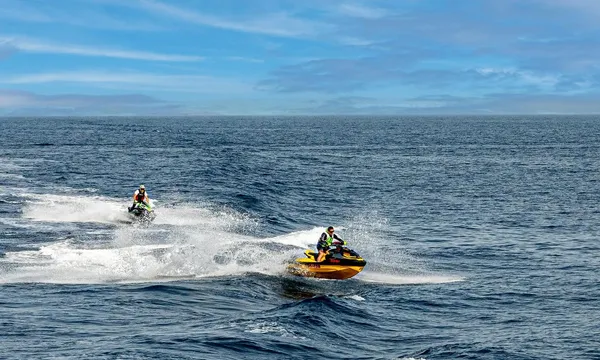Jet Ski Guided Tour, 45 Minutes - Lake Illawarra