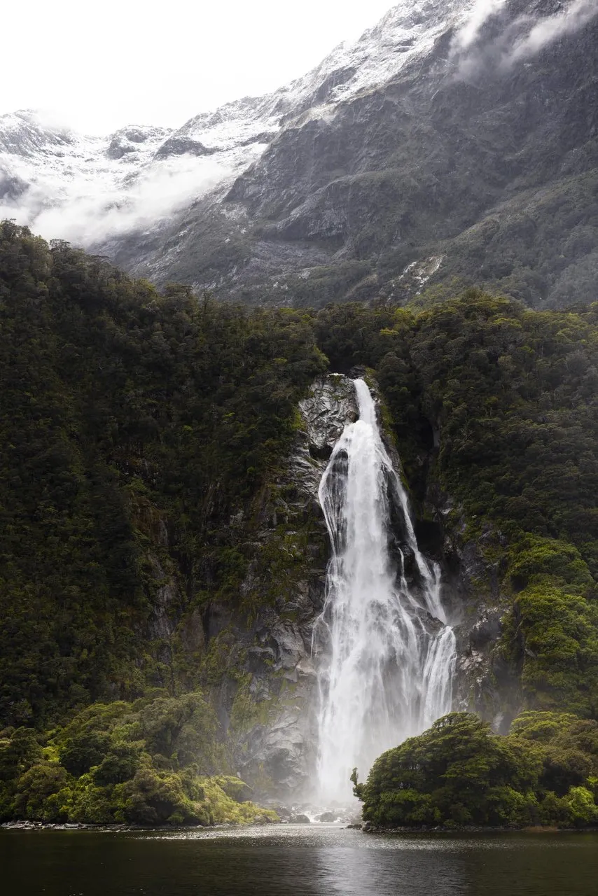 Milford Mariner Overnight Cruise | Experience Oz + NZ-5