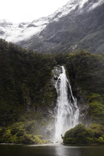 Milford Overnight Cruise | Experience Oz + NZ