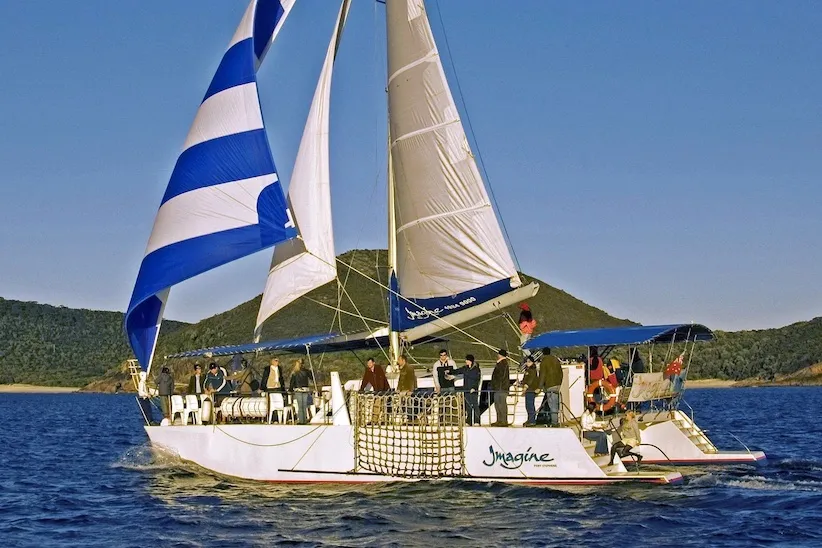 Nelson Bay 3 Hour Whale Watching Cruise - Book Now | Experience Oz-6