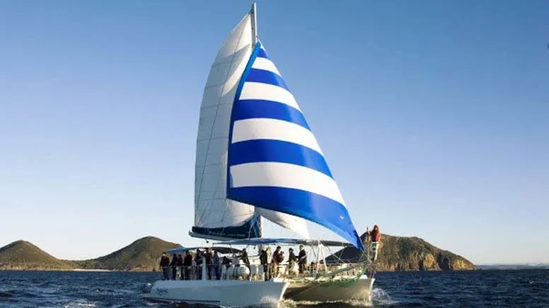 Nelson Bay Dolphin Sailing Cruise - Book Now | Experience Oz