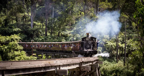 Lake Mountain Snow Play & Puffing Billy Ride from Melbourne