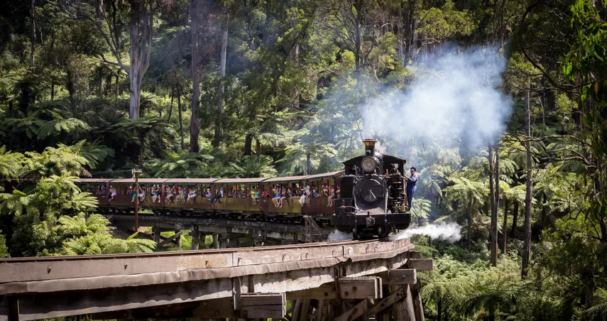 Snow Play & Puffing Billy Ride from Melbourne | Experience Oz