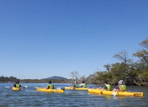 Lake Fyans Guided Canoe Tour at Twilight - 2 Hours